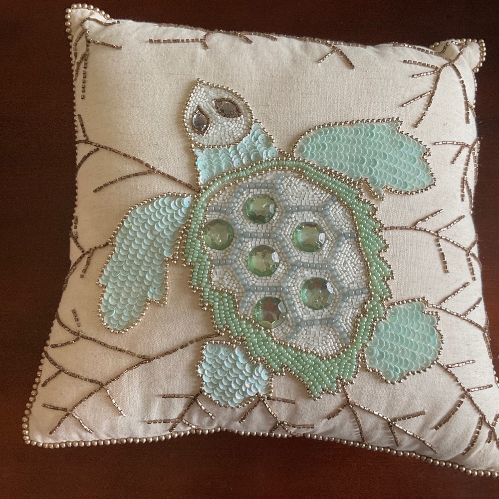 Pier 1 Imports Turtle Pillow